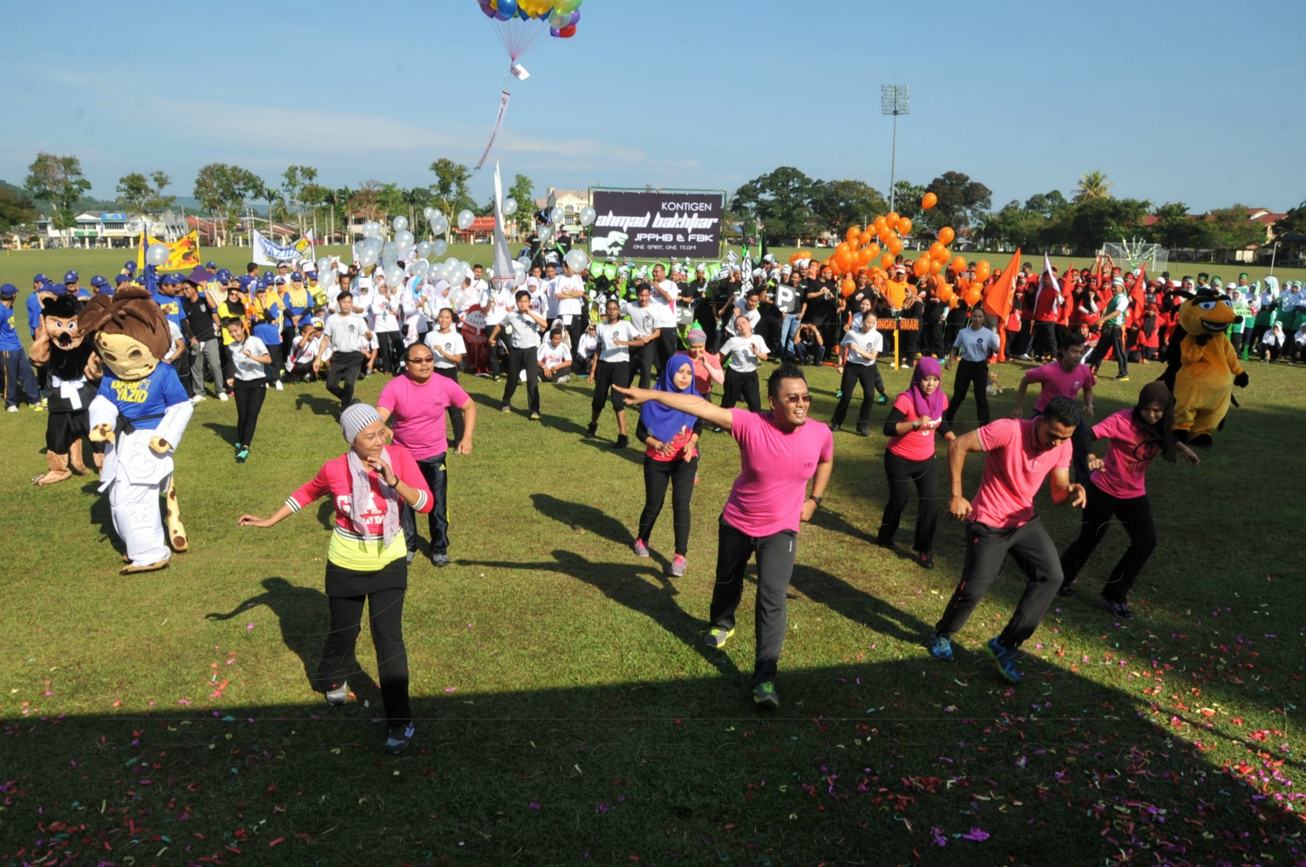 PRO 15 53 KIESTA HAS 3931